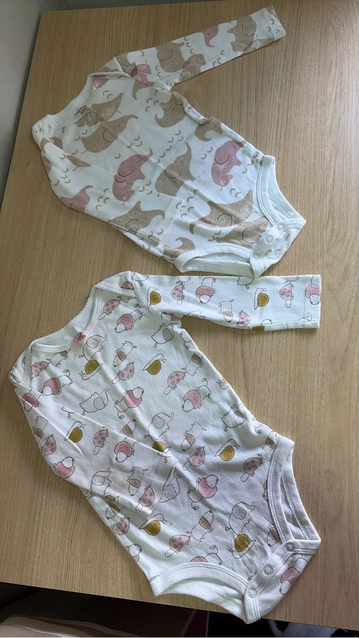 2 bodys CARTERS - 18 meses