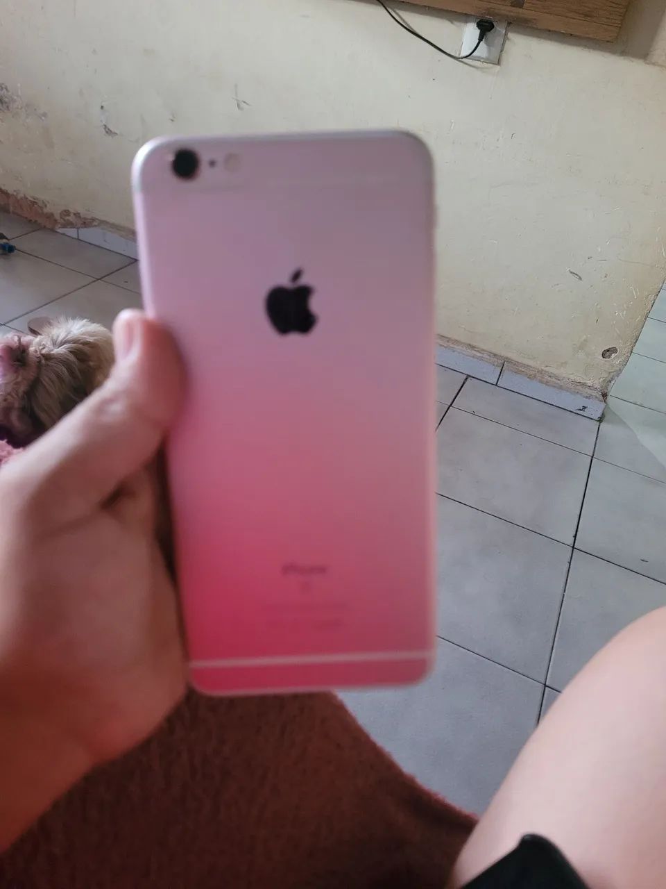 Celular 