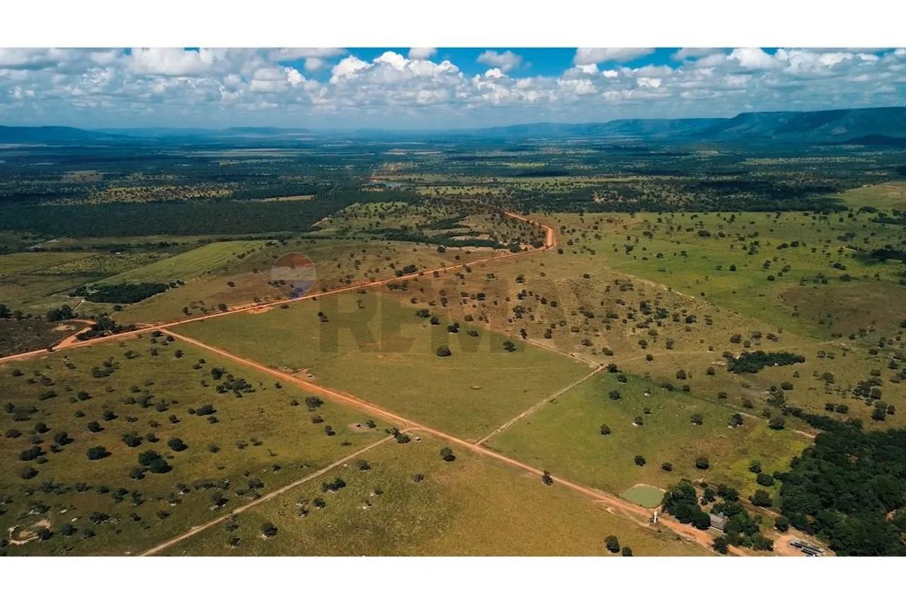 Fazenda em Formosa - Go 773 Ha - Foto 4