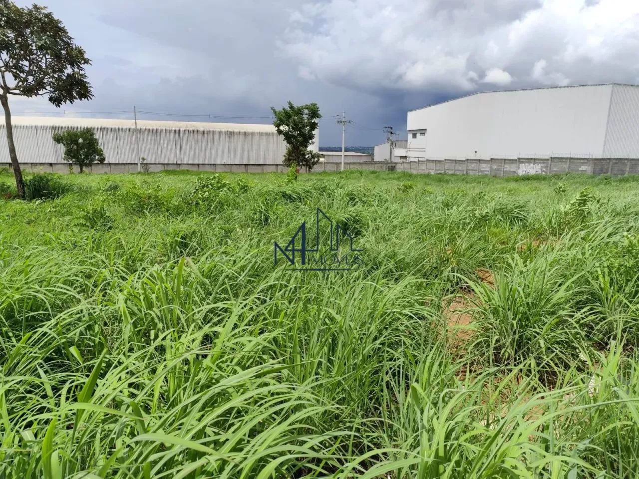 Área 4.300m² - St. Grande Goiânia - Hidrolândia - GO - Foto 3