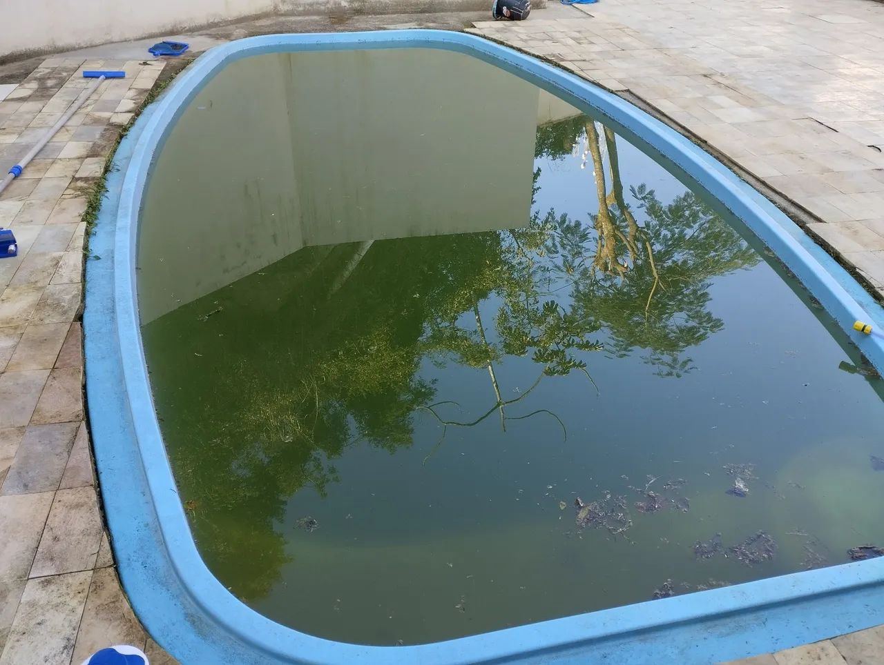 Piscineiro Profissional 