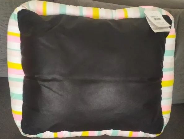 caes - Foto 2