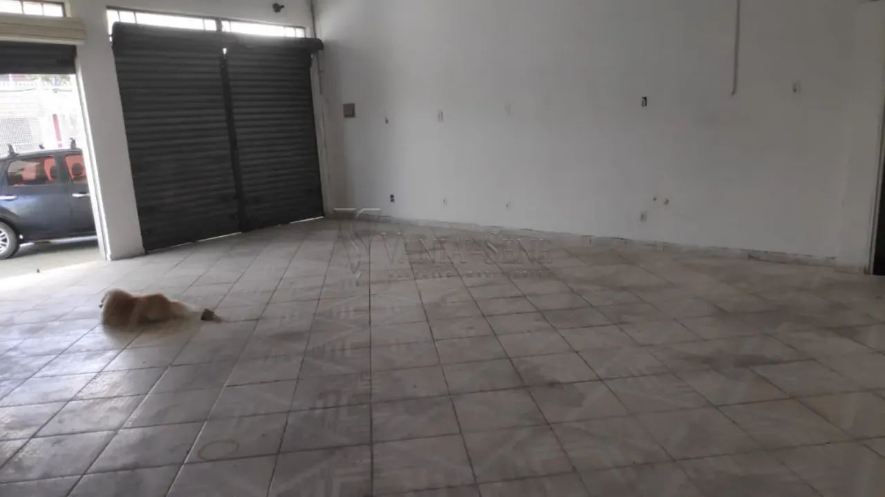 Salão Comercial para Locação - Jardim Morumbi - Foto 5