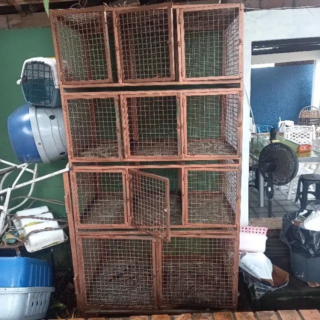 Gaiola de cachorro - Foto 2