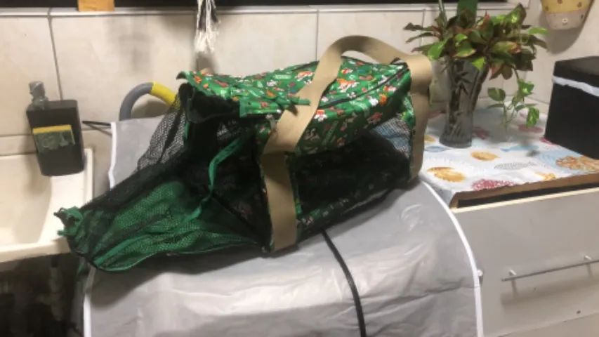 Bolsa para transporte de PET - Foto 4