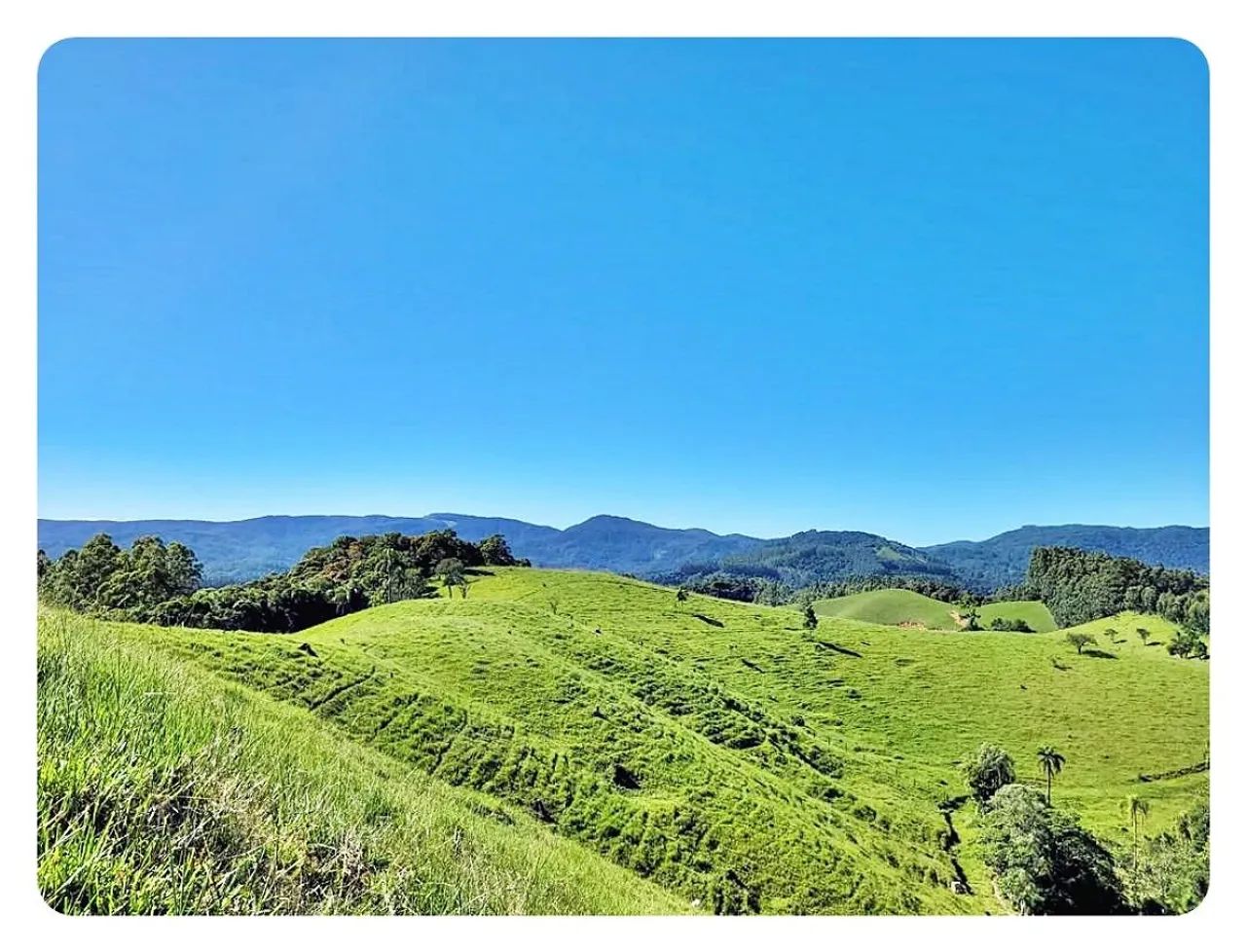 Terreno Rural à venda, 236000 m² em São Bonifácio/SC - Foto 2