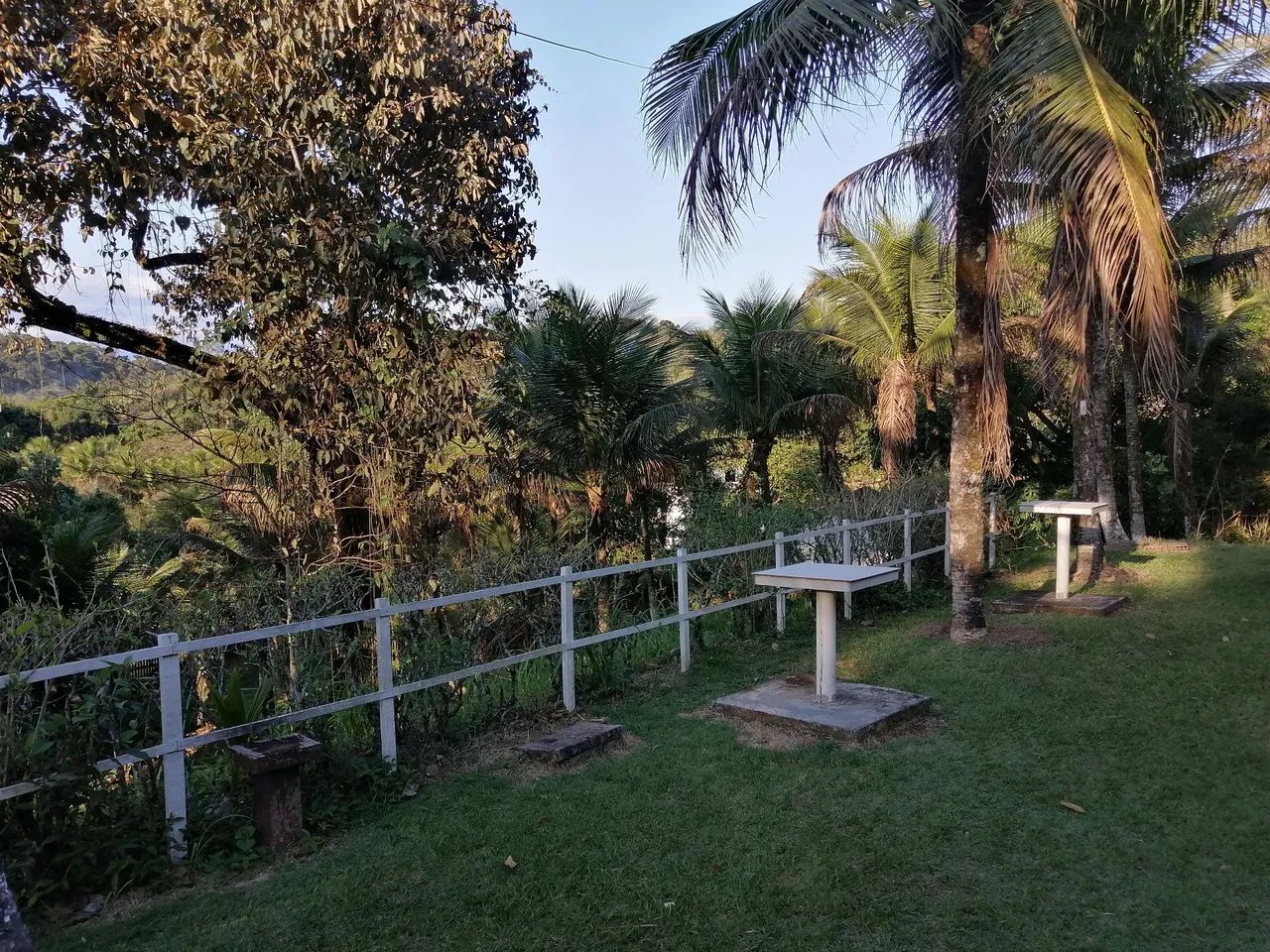 Lindo sitio com coqueiros - Foto 3