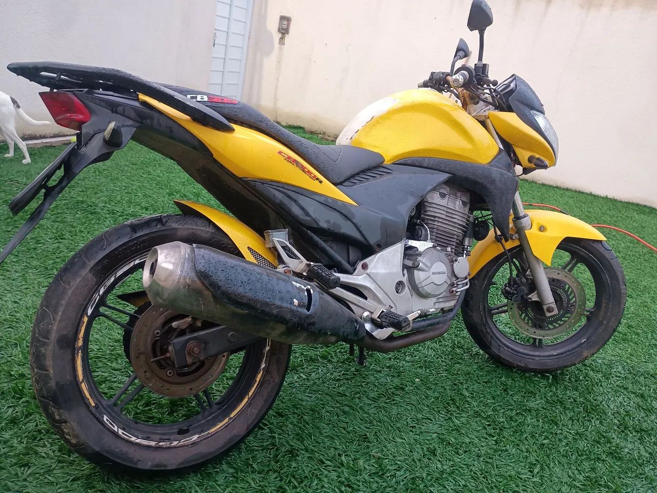 Honda cb300