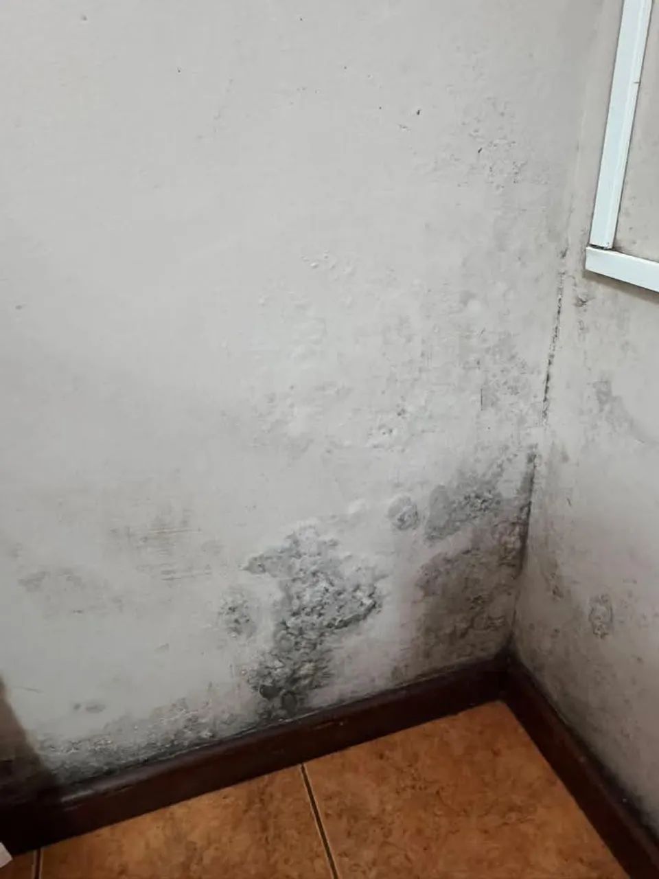 INFILTRAÇÕES  - Foto 3