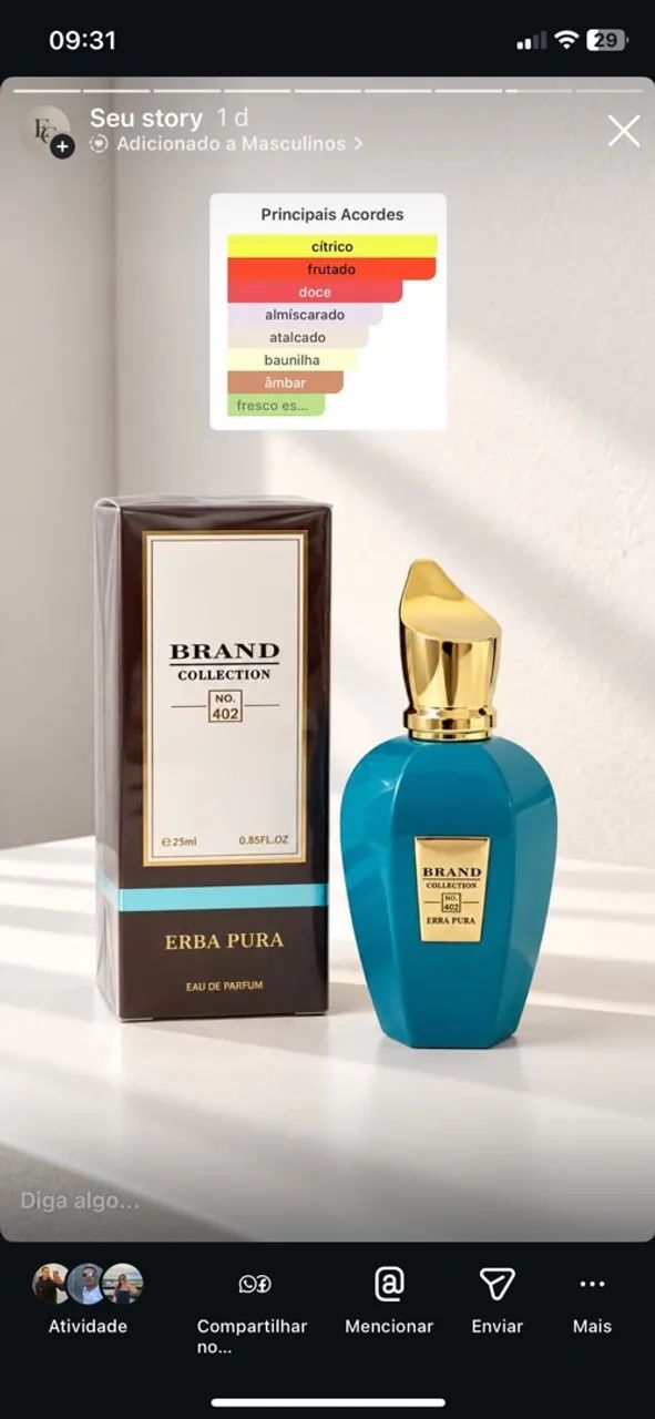 BRAND COLLECTION ERBA PURA 