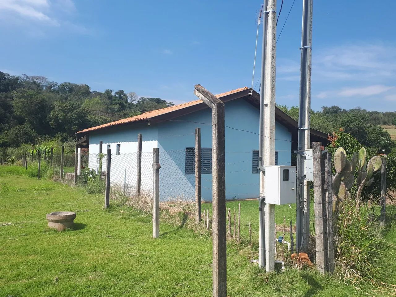 Vendo ou troco . Chacará com casa no limoeiro . Escriturada - Foto 2
