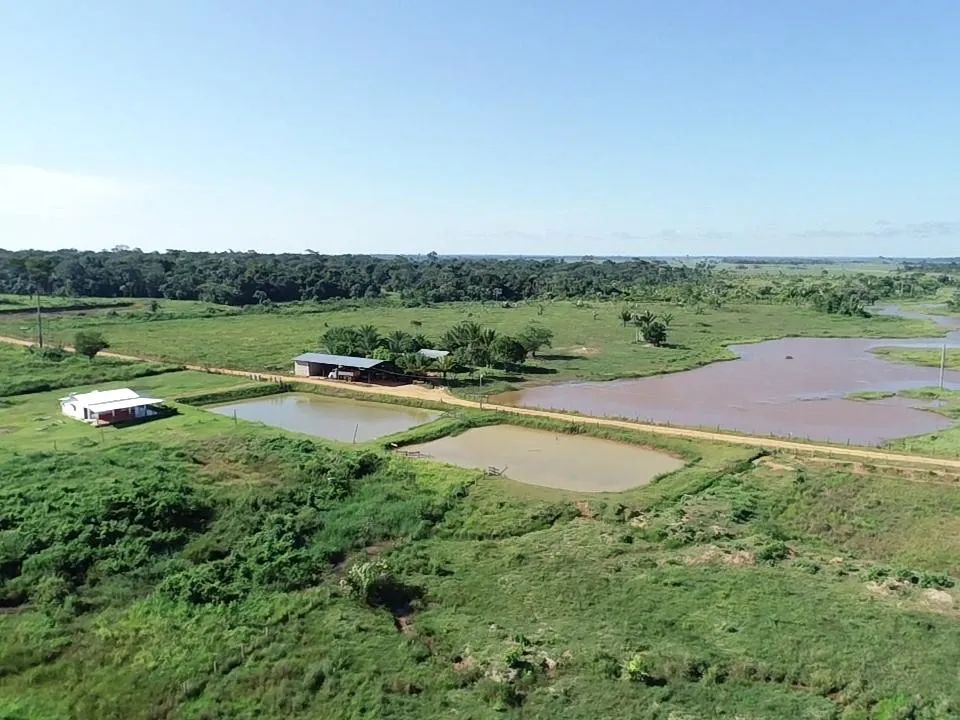 Fazenda completa BR 317 (Asfalto) - Foto 3
