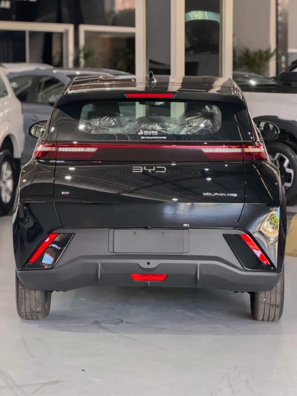 BYD Dolphin Mini (Elétrico) 2027 - Foto 4