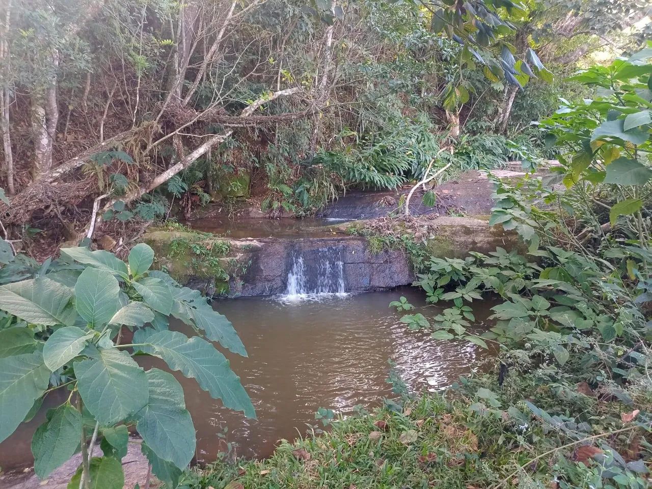 oportunidade sitio com cachoeira em natividade da serra - Foto 2