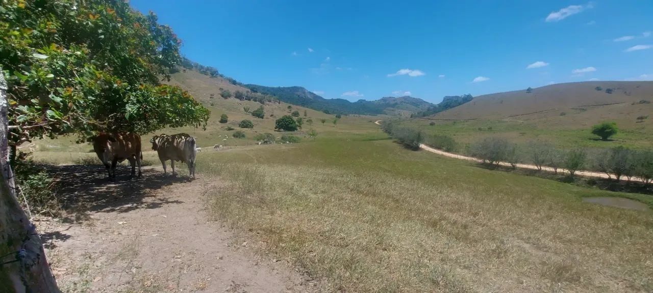 Fazenda à Venda Em Capela - Foto 3