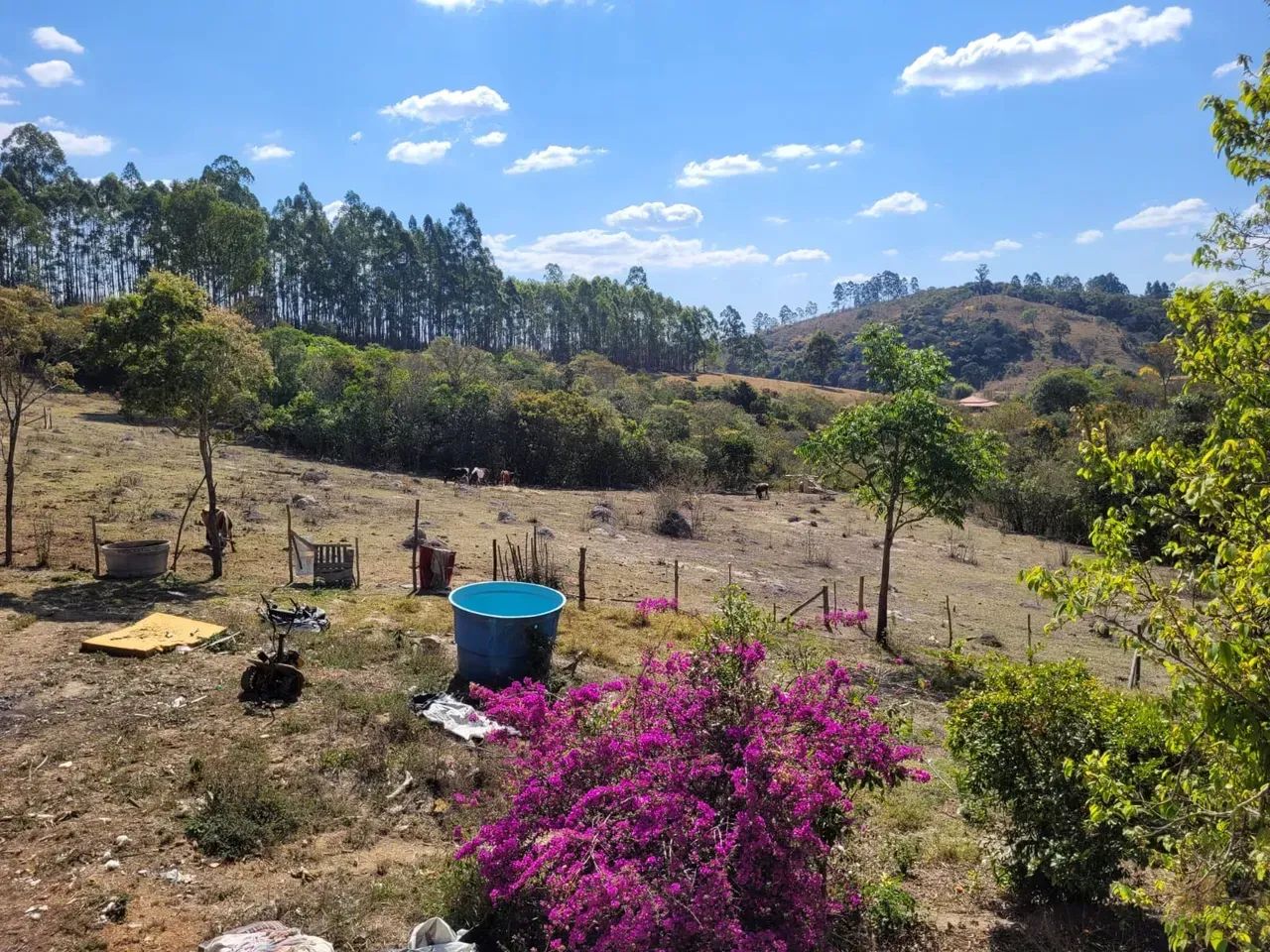 Sitio em Desterro de Entre Rios MG 2 hectares 20 mil metros 220 mil - Foto 15