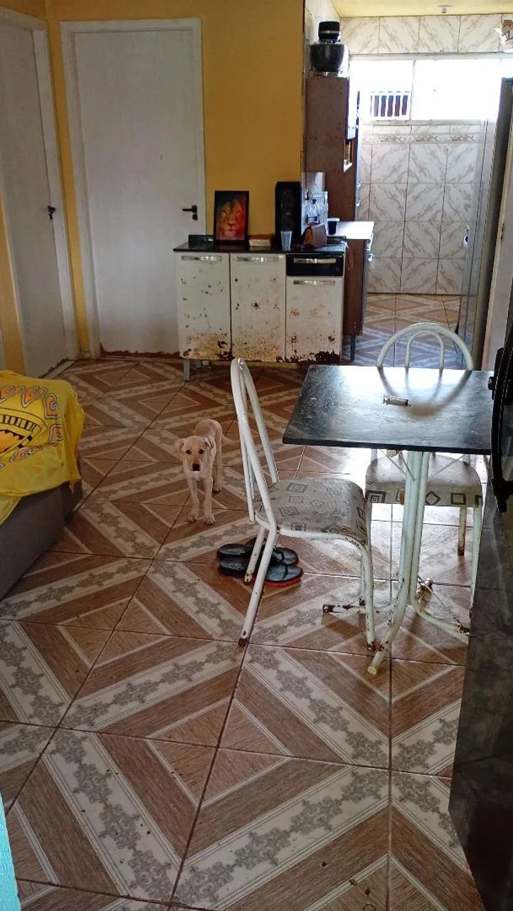 Venda - Foto 5