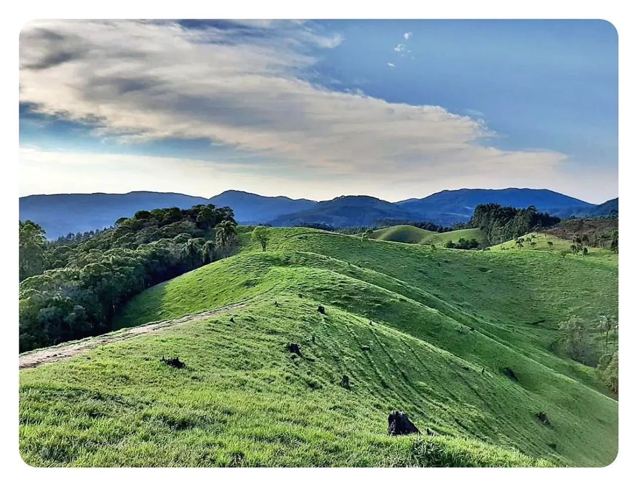 Terreno Rural à venda, 236000 m² em São Bonifácio/SC - Foto 5