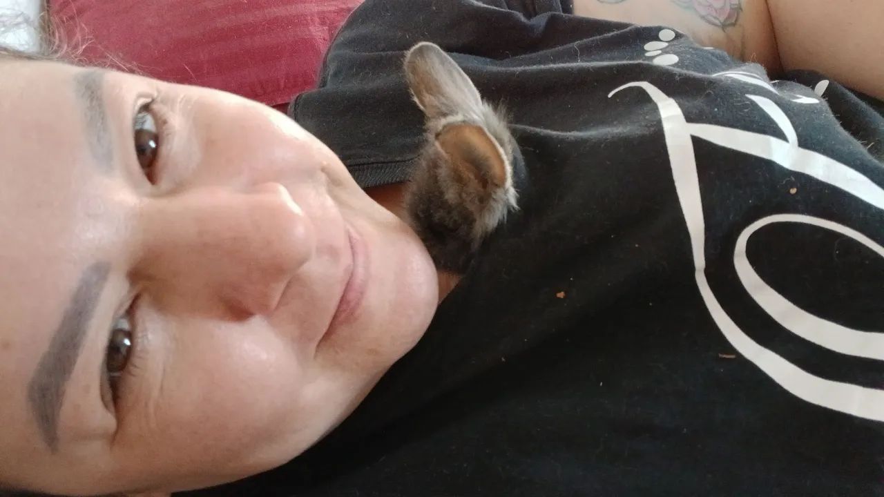 Mini coelho - Foto 2