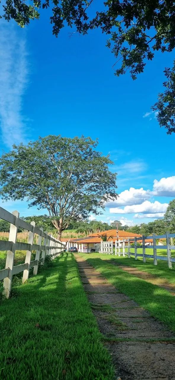 Sítio para Alugar Final de semana Feriado festas e eventos   - Foto 4