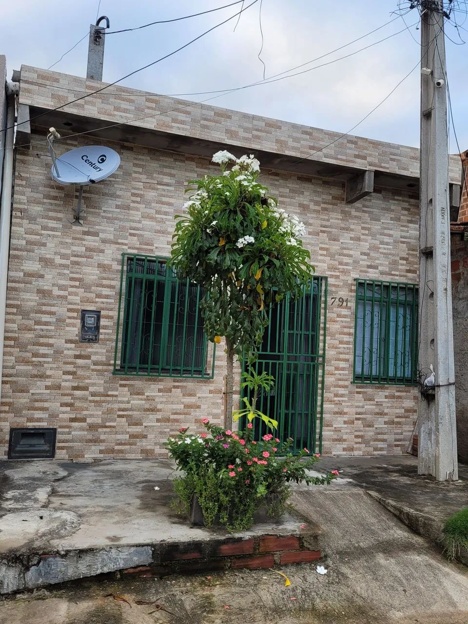 Foto - Jequié - Mandacaru