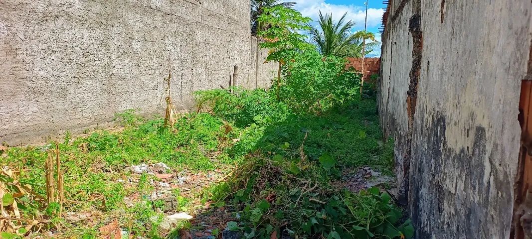 Terreno  - Foto 5
