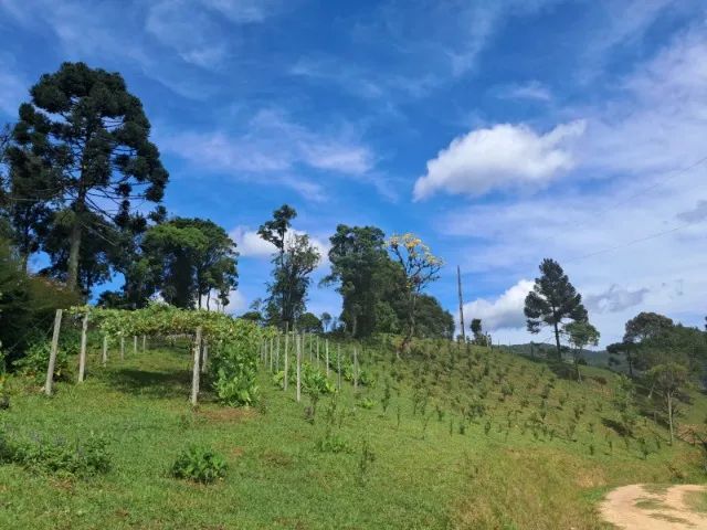 Foto - Rancho Queimado - 