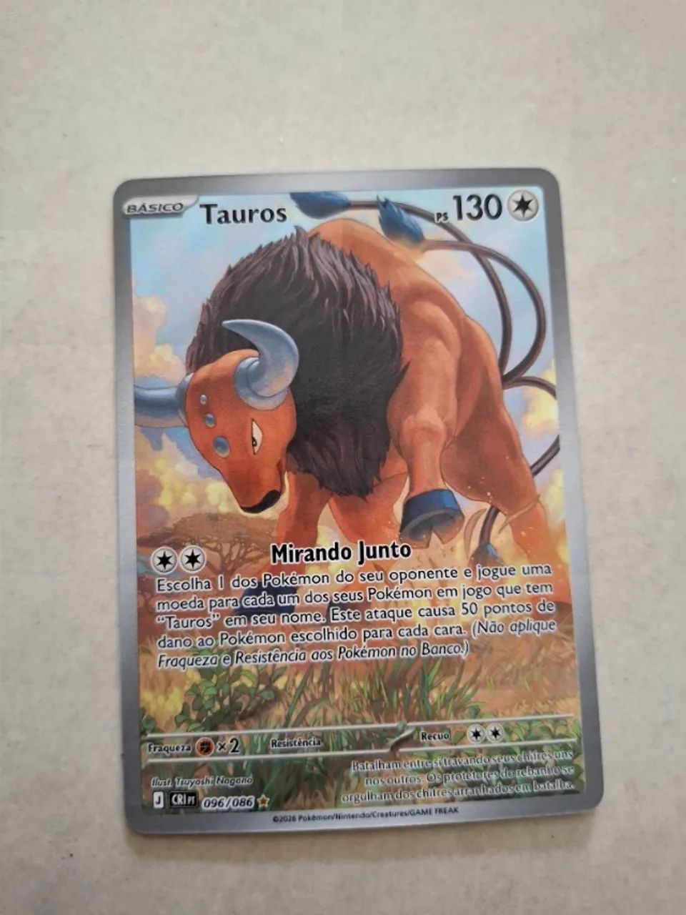 Carinha pokemon