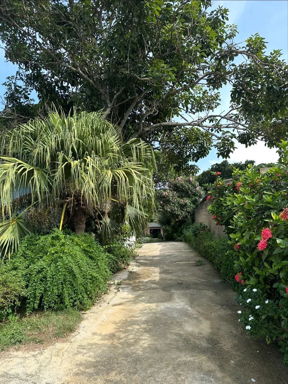 LINDA CHÁCARA NO RETIRO DO CONGO-Vila Velha - Foto 2