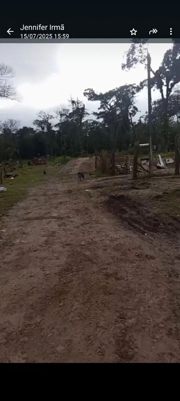 Foto - Pontal do Paraná - 