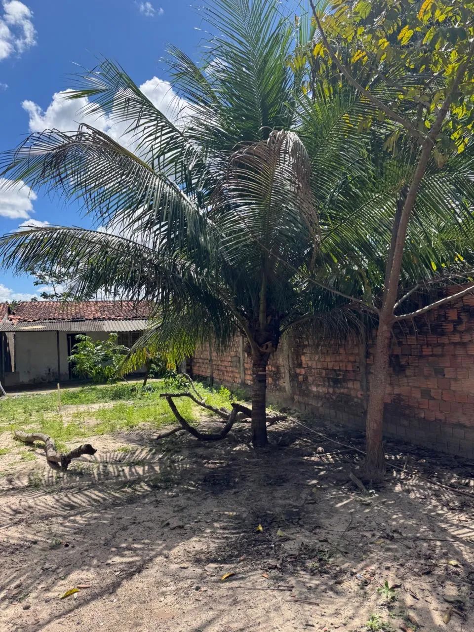 Vende-se ou aluga-se  - Foto 2
