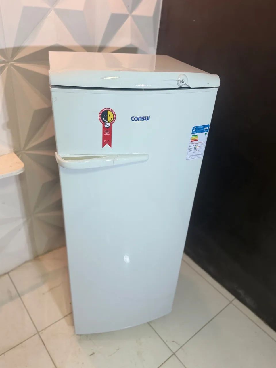 Geladeira Degelo Seco  - Foto 4