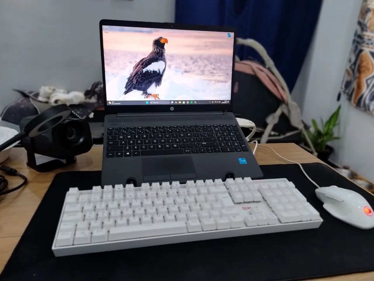 Notebook HP G9 256 gigas 16RAM