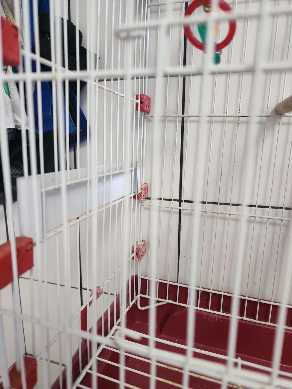 Gaiola para calopsita ou periquitos. Nova! - Foto 5