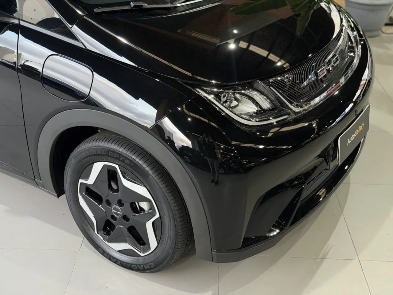 BYD Dolphin GS (Elétrico) 2024 - Foto 2