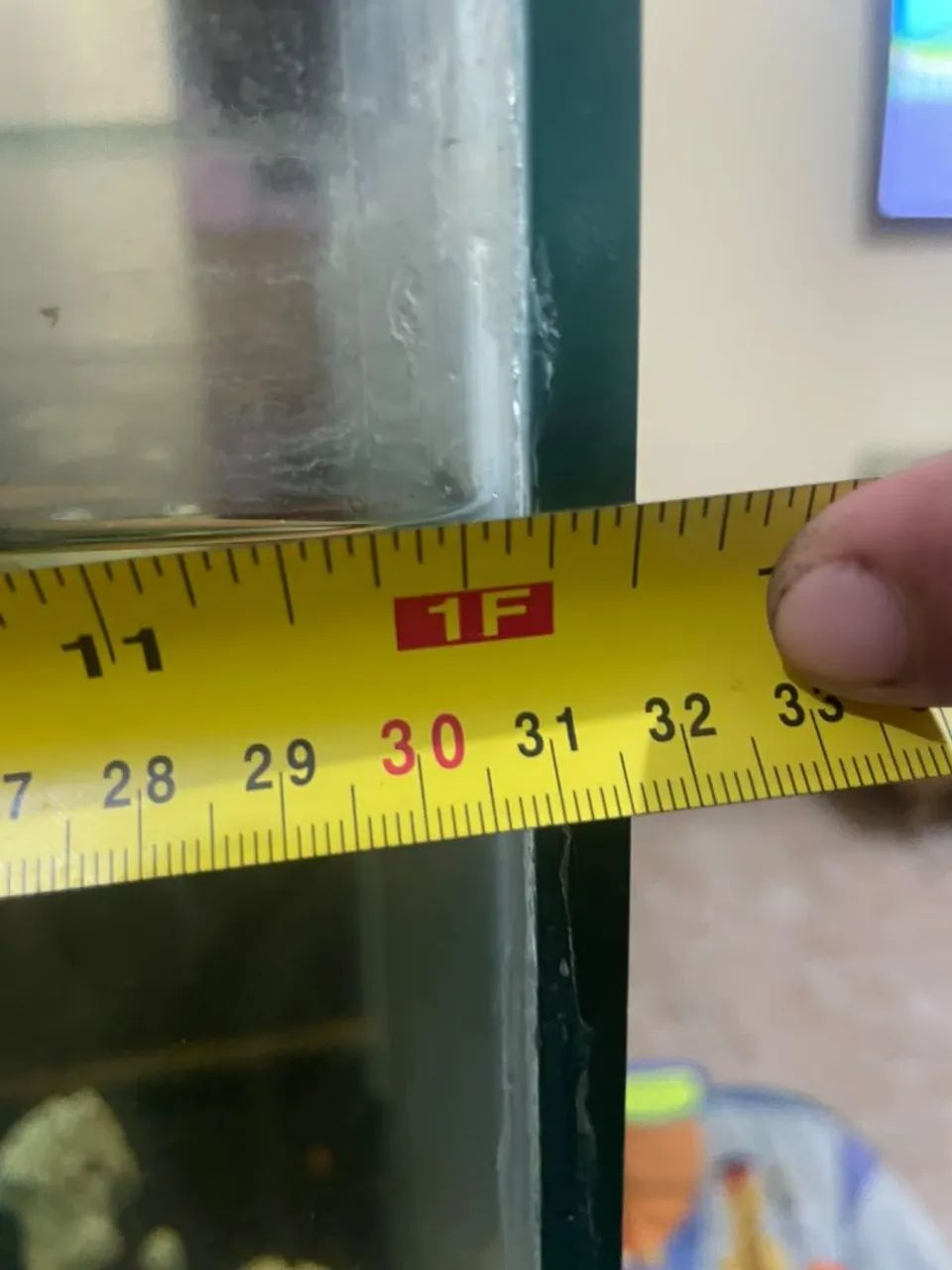 Aquário  - Foto 2