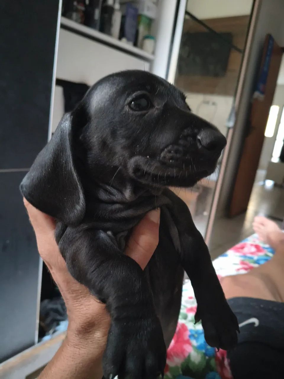 MACHO total Black  - Foto 2