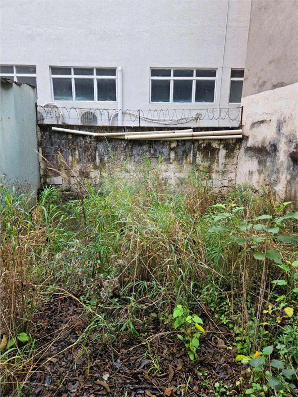 Terreno à venda em Vila mascote - SP - Foto 5