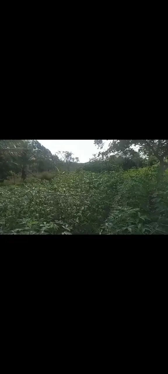 Vendo sítio - itaporanga d'Ajuda - povoado paruí  - Foto 3