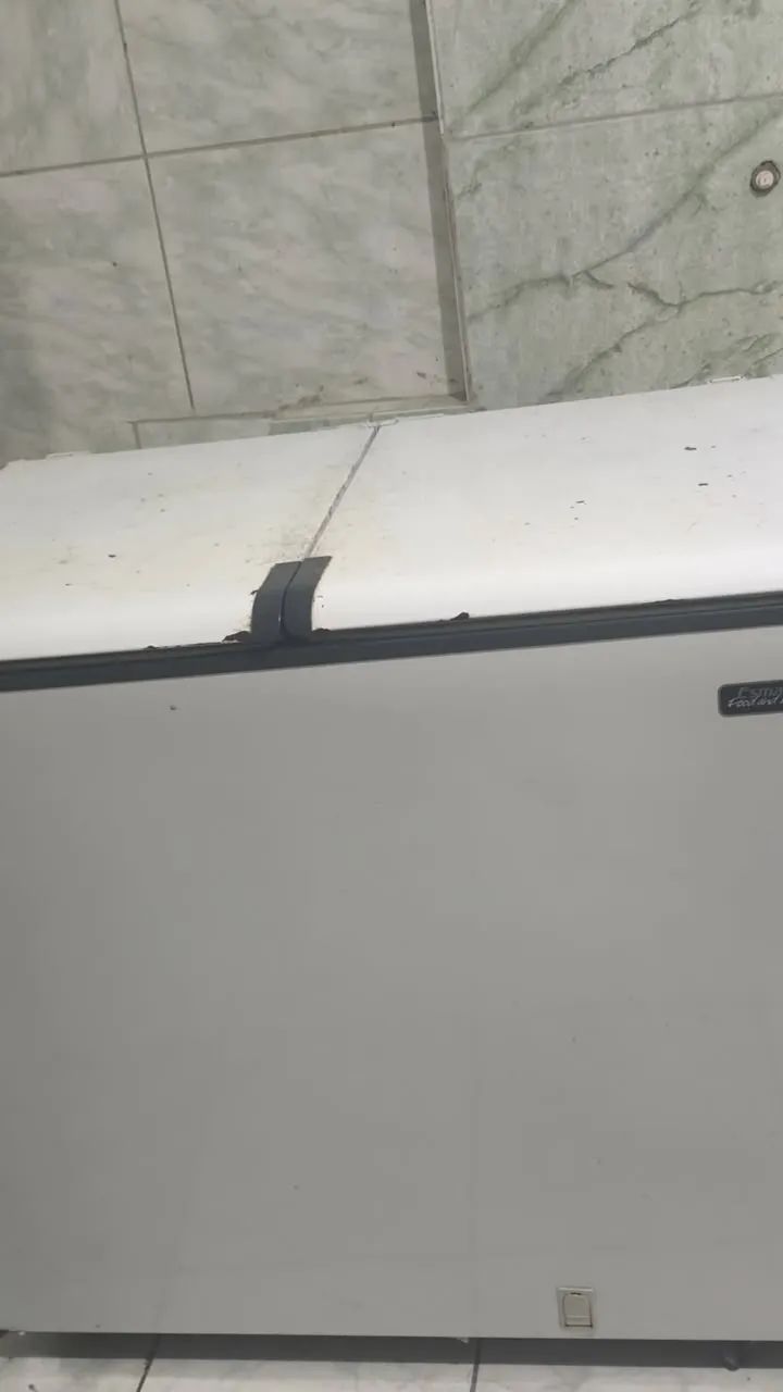 Freezer Esmaltec 303L - Foto 2