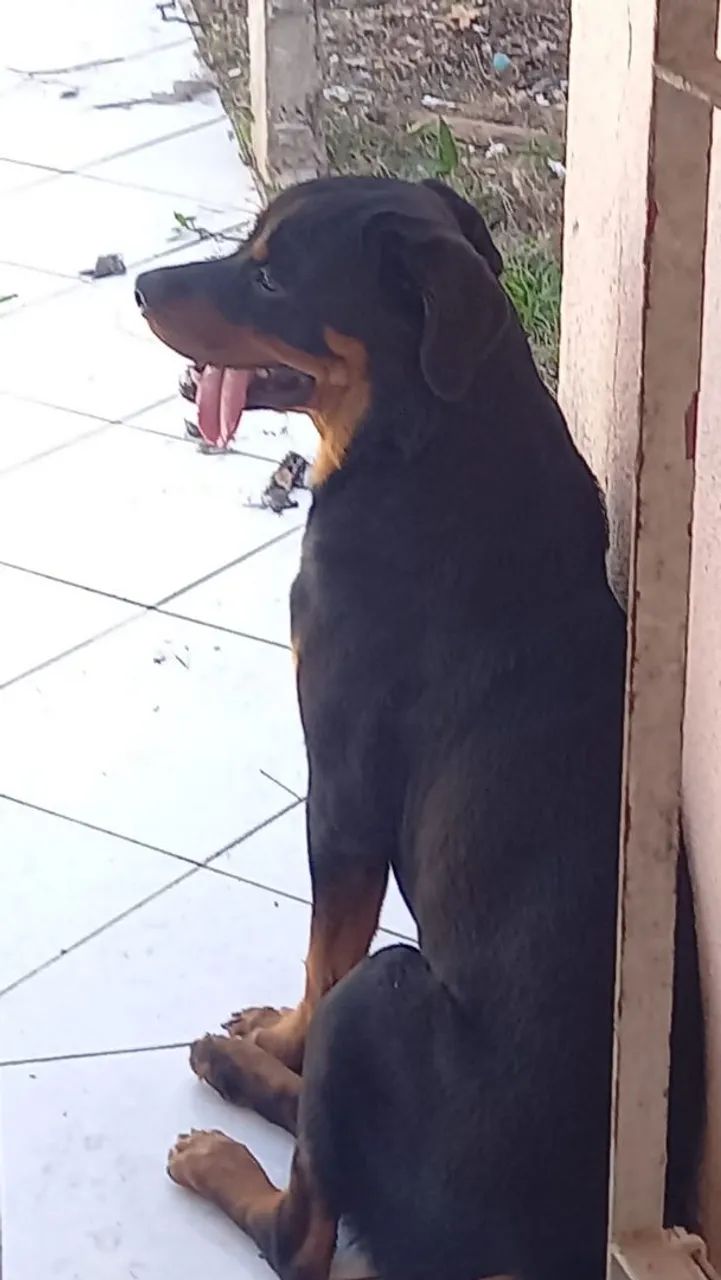 Vende se :