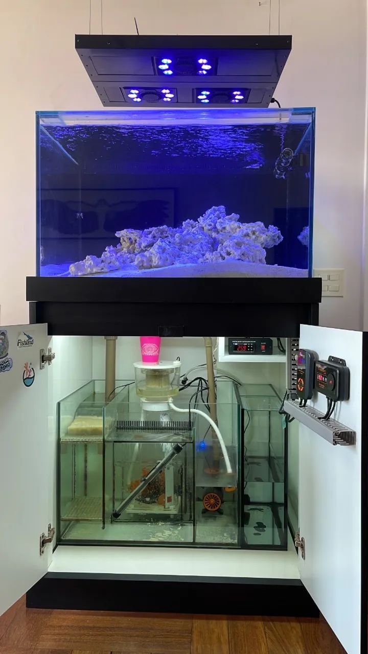 Aquário Marinho 280 L (completo + chiller)