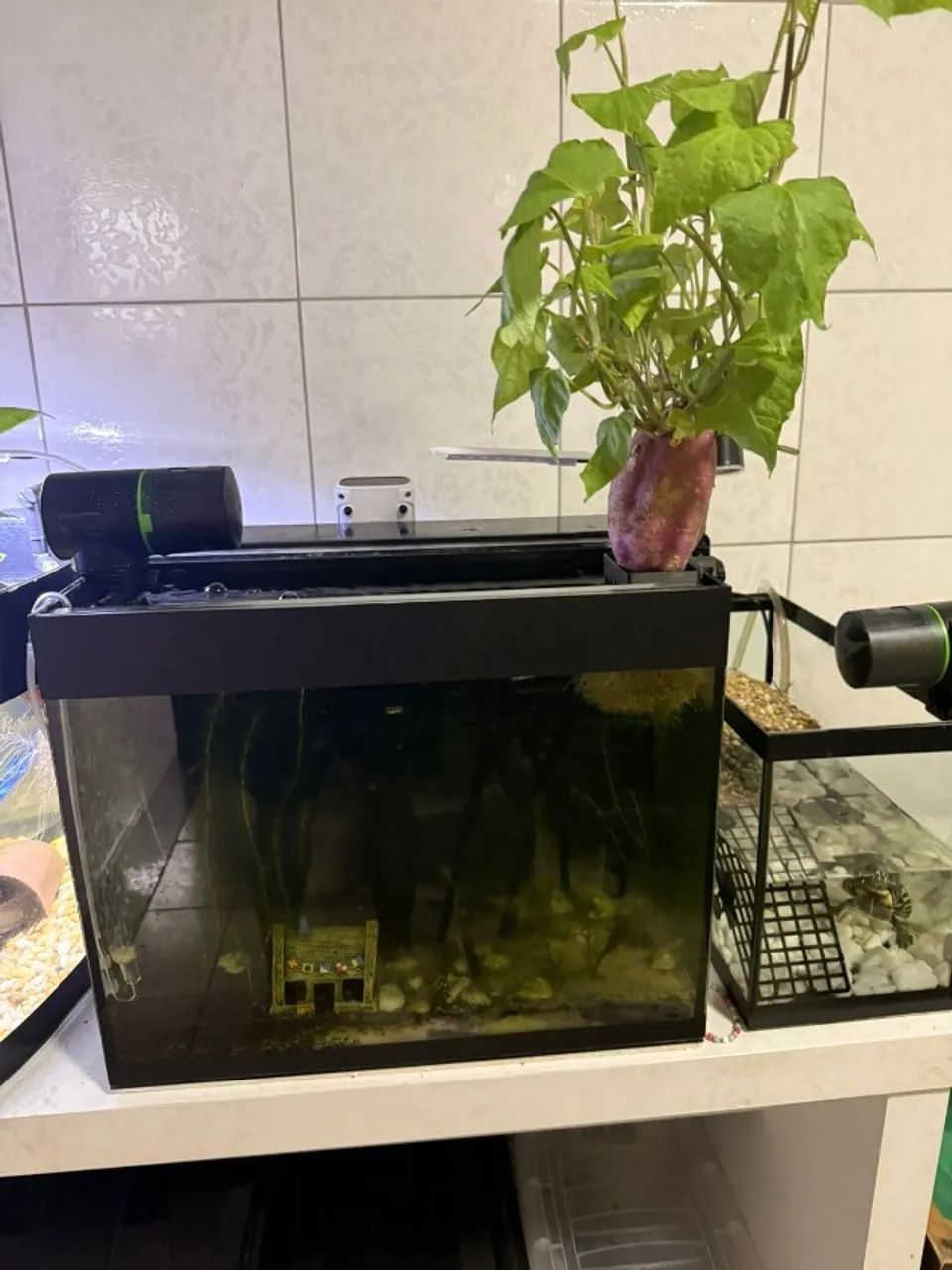 "Aquário 80 litros com sump, bomba d'água, mídias e perlon" (sem peixes)  - Foto 3