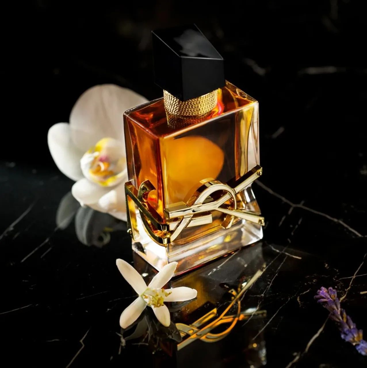 Perfume Yves Saint Laurent Libre Eau De Parfum Intense 90ml