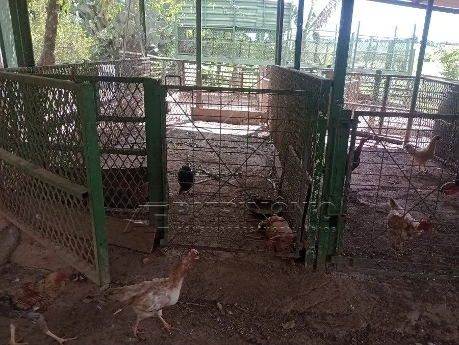 Chácara à venda - espaço, natureza e tranquilidade! - Foto 4