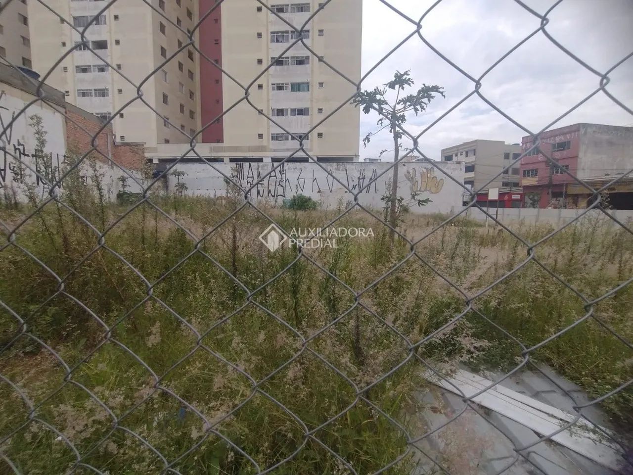 TERRENO - RUDGE RAMOS - SÃO BERNARDO DO CAMPO - Foto 3