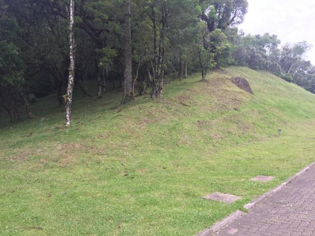 Terreno à venda, 1050 m² por r$ 779.249,00 - centro - canela/rs - Foto 5