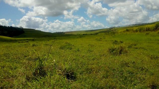 Fazenda - Foto 13