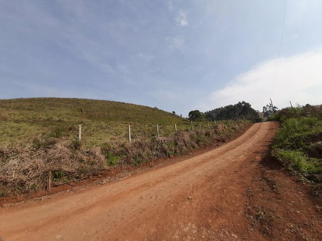 Chácara de 23.5 Alqueires com 22.5 alqueires de pasto - Faxinal do Céu. Pinhão- PR - Foto 8