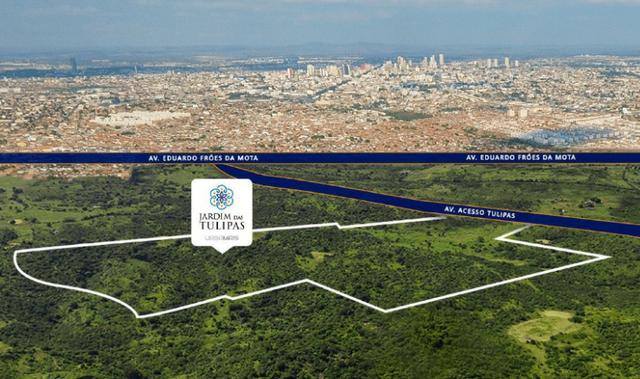 Oportunidade Passo Lote nascente R$65.000,00 Facilito entrada Jardimdas Tulipas - Foto 13
